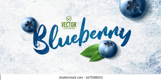 Vector realistic blueberry illustration and leaves on white stone background