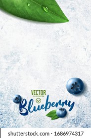 Vector realistic blueberry illustration and leaves on white stone background
