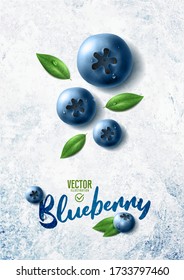 Vector realistic blueberry illustration and leaves on white stone background