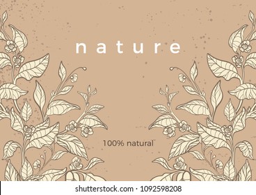 Vector realistic branch of tea bush, leaves, flower. Botanical hand draw template, package, product. Retro banner Art design, old sketch background. Illustration for card, menu Vintage natural border