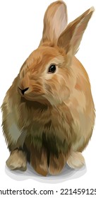 vector realistic brown adult rabbit on white background