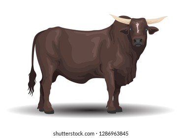 vector realistic buffalo cattle. vector of cattle breeds collection