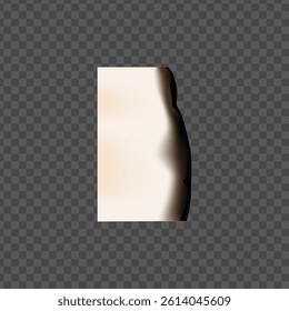 Vector of a realistic burnt piece of paper with a charred edge. A vertically located sheet with a dark edge. Isolated transparent background. For textures, effects and design. Illustration.