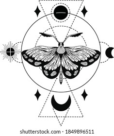 Vector realistic butterfly. Eps 10  illustration can be used for party invitation, design template, greeting card, patterns fill, posters,logo, tattoo, branding. Design element for your project.