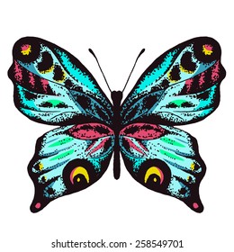 Vector realistic butterfly illustration, hand drawn ink insect. Beautiful colorful moth tattoo design