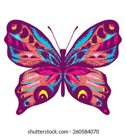 Vector realistic butterfly illustration, hand drawn ink insect