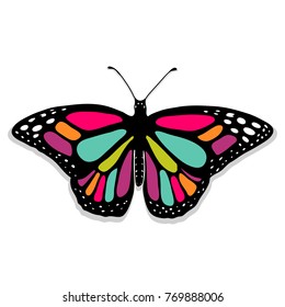 Vector realistic butterfly Monarch. Handdrawn, used gradient. Non-symmetric art