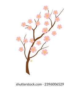 Vektorrealistischer Kirschblütenzweig. Kirschblüte mit rosafarbener Sakurarblume, Vektorgrafik