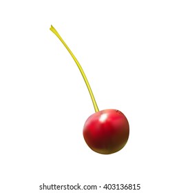 Vector realistic cherry with dew drop. Mesh. Isolated. Editable item.