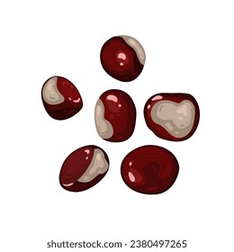 Vector realistic chestnuts on white background. Great nature element for your autumn, botanic, organic concepts and projects.