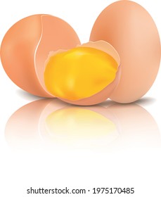 Vector realistic chicken egg Illustration. Transparent egg with soft shadows. 3d illustration for Easter Holiday