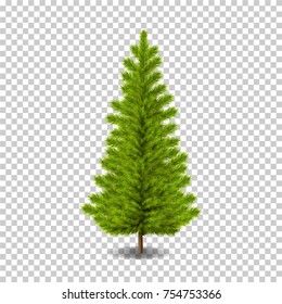 Vector realistic Christmas tree ready to decorating. Isolated on transparent background. Great for logo, invitation, card, product packaging, header, logotype, poster, label, banners and etc.