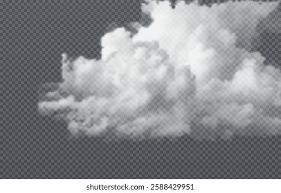 Vector realistic cloud, smoke or fog on isolated transparent background. Cloud png. Smoke png
