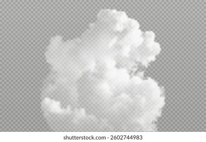 Vector realistic cloud, smoke or fog on isolated transparent background. Cloud png. Smoke png