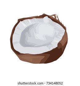 Vector realistic coconut. Cartoon Illustration