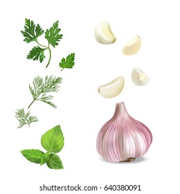 Vector Realistic Colorful Illustration Of Garlic. Vector Illustration Of Vegetables.