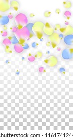 Vector Realistic Colorful Petals Falling on Transparent Background.  Spring Romantic Flowers Illustration. Flying Petals. Sakura Spa Design.  Blossom Confetti. Design Elements for  Wedding Decoration.