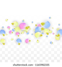 Vector Realistic Colorful Petals Falling on Transparent Background.  Spring Romantic Flowers Illustration. Flying Petals. Sakura Spa Design.  Blossom Confetti. Design Elements for  Mother's Day.