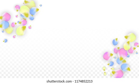 Vector Realistic Colorful Petals Falling on Transparent Background.  Spring Romantic Flowers Illustration. Flying Petals. Sakura Spa Design.  Blossom Confetti. Design Elements for  Poster Design. 