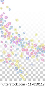 Vector Realistic Colorful Petals Falling on Transparent Background.  Spring Romantic Flowers Illustration. Flying Petals. Sakura Spa Design.  Blossom Confetti. Design Elements for  Poster Design. 