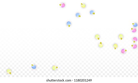 Vector Realistic Colorful Petals Falling on Transparent Background.  Spring Romantic Flowers Illustration. Flying Petals. Sakura Spa Design.  Blossom Confetti. Design Elements for  Mother's Day.