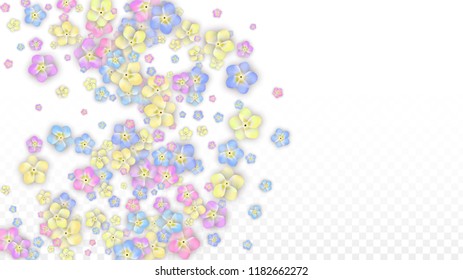 Vector Realistic Colorful Petals Falling on Transparent Background.  Spring Romantic Flowers Illustration. Flying Petals. Sakura Spa Design.  Blossom Confetti. Design Elements for  Poster Design. 