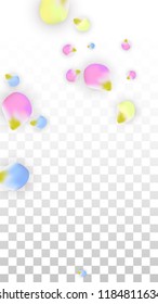 Vector Realistic Colorful Petals Falling on Transparent Background.  Spring Romantic Flowers Illustration. Flying Petals. Sakura Spa Design.  Blossom Confetti. Design Elements for  Poster Design. 