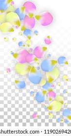 Vector Realistic Colorful Petals Falling on Transparent Background.  Spring Romantic Flowers Illustration. Flying Petals. Sakura Spa Design.  Blossom Confetti. Design Elements for  8 March Card.