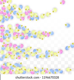 Vector Realistic Colorful Petals Falling on Transparent Background.  Spring Romantic Flowers Illustration. Flying Petals. Sakura Spa Design.  Blossom Confetti. Design Elements for  Poster Design. 
