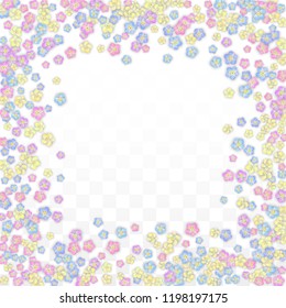 Vector Realistic Colorful Petals Falling on Transparent Background.  Spring Romantic Flowers Illustration. Flying Petals. Sakura Spa Design.  Blossom Confetti. Design Elements for  St. Valentine Day.