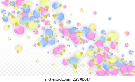 Vector Realistic Colorful Petals Falling on Transparent Background.  Spring Romantic Flowers Illustration. Flying Petals. Sakura Spa Design.  Blossom Confetti. Design Elements for  Wedding Decoration.