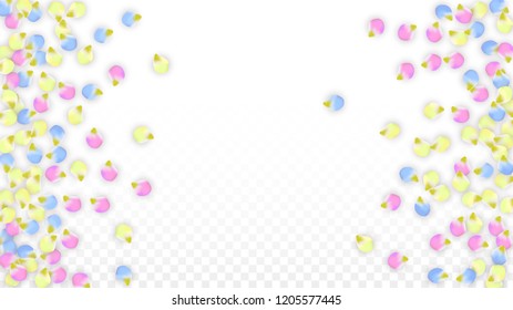Vector Realistic Colorful Petals Falling on Transparent Background.  Spring Romantic Flowers Illustration. Flying Petals. Sakura Spa Design.  Blossom Confetti. Design Elements for  Wedding Decoration.