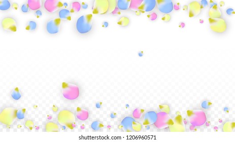 Vector Realistic Colorful Petals Falling on Transparent Background.  Spring Romantic Flowers Illustration. Flying Petals. Sakura Spa Design.  Blossom Confetti. Design Elements for  Mother's Day.