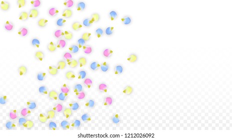 Vector Realistic Colorful Petals Falling on Transparent Background.  Spring Romantic Flowers Illustration. Flying Petals. Sakura Spa Design.  Blossom Confetti. Design Elements for  8 March Card.