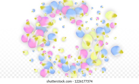 Vector Realistic Colorful Petals Falling on Transparent Background.  Spring Romantic Flowers Illustration. Flying Petals. Sakura Spa Design.  Blossom Confetti. Design Elements for  Wedding Decoration.