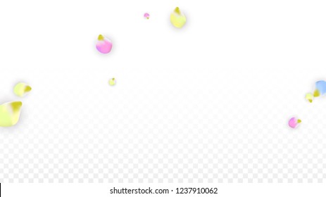 Vector Realistic Colorful Petals Falling on Transparent Background.  Spring Romantic Flowers Illustration. Flying Petals. Sakura Spa Design.  Blossom Confetti. Design Elements for  Wedding Decoration.