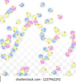 Vector Realistic Colorful Petals Falling on Transparent Background.  Spring Romantic Flowers Illustration. Flying Petals. Sakura Spa Design.  Blossom Confetti. Design Elements for  St. Valentine Day.