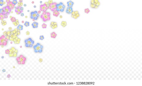 Vector Realistic Colorful Petals Falling on Transparent Background.  Spring Romantic Flowers Illustration. Flying Petals. Sakura Spa Design.  Blossom Confetti. Design Elements for  Poster Design. 