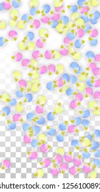 Vector Realistic Colorful Petals Falling on Transparent Background.  Spring Romantic Flowers Illustration. Flying Petals. Sakura Spa Design.  Blossom Confetti. Design Elements for  8 March Card.