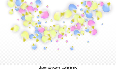 Vector Realistic Colorful Petals Falling on Transparent Background.  Spring Romantic Flowers Illustration. Flying Petals. Sakura Spa Design.  Blossom Confetti. Design Elements for  St. Valentine Day.