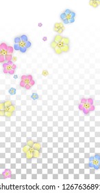 Vector Realistic Colorful Petals Falling on Transparent Background.  Spring Romantic Flowers Illustration. Flying Petals. Sakura Spa Design.  Blossom Confetti. Design Elements for  8 March Card.