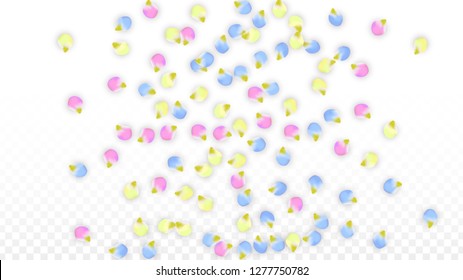 Vector Realistic Colorful Petals Falling on Transparent Background.  Spring Romantic Flowers Illustration. Flying Petals. Sakura Spa Design.  Blossom Confetti. Design Elements for  Wedding Decoration.