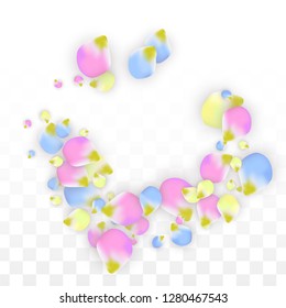 Vector Realistic Colorful Petals Falling on Transparent Background.  Spring Romantic Flowers Illustration. Flying Petals. Sakura Spa Design.  Blossom Confetti. Design Elements for  Mother's Day.