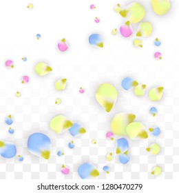 Vector Realistic Colorful Petals Falling on Transparent Background.  Spring Romantic Flowers Illustration. Flying Petals. Sakura Spa Design.  Blossom Confetti. Design Elements for  8 March Card.