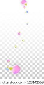 Vector Realistic Colorful Petals Falling on Transparent Background.  Spring Romantic Flowers Illustration. Flying Petals. Sakura Spa Design.  Blossom Confetti. Design Elements for  8 March Card.