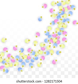 Vector Realistic Colorful Petals Falling on Transparent Background.  Spring Romantic Flowers Illustration. Flying Petals. Sakura Spa Design.  Blossom Confetti. Design Elements for  8 March Card.