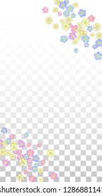 Vector Realistic Colorful Petals Falling on Transparent Background.  Spring Romantic Flowers Illustration. Flying Petals. Sakura Spa Design.  Blossom Confetti. Design Elements for  Mother's Day.