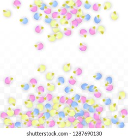 Vector Realistic Colorful Petals Falling on Transparent Background.  Spring Romantic Flowers Illustration. Flying Petals. Sakura Spa Design.  Blossom Confetti. Design Elements for  Mother's Day.