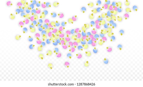 Vector Realistic Colorful Petals Falling on Transparent Background.  Spring Romantic Flowers Illustration. Flying Petals. Sakura Spa Design.  Blossom Confetti. Design Elements for  Mother's Day.