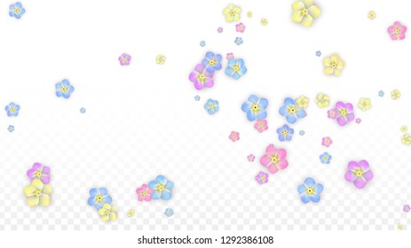 Vector Realistic Colorful Petals Falling on Transparent Background.  Spring Romantic Flowers Illustration. Flying Petals. Sakura Spa Design.  Blossom Confetti. Design Elements for  Mother's Day.